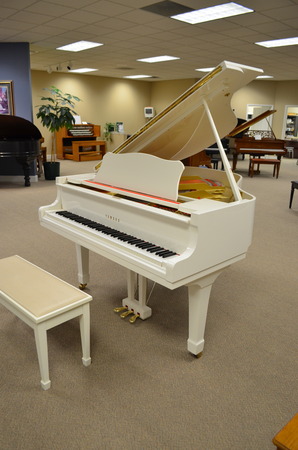 1984 Yamaha 5'3 - Grand Pianos